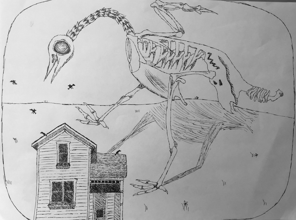 Pen drawing of a skeletal bird standing over a house