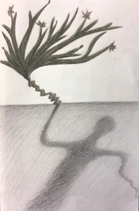 Pencil drawing of a shadow whose hand extends into a tree